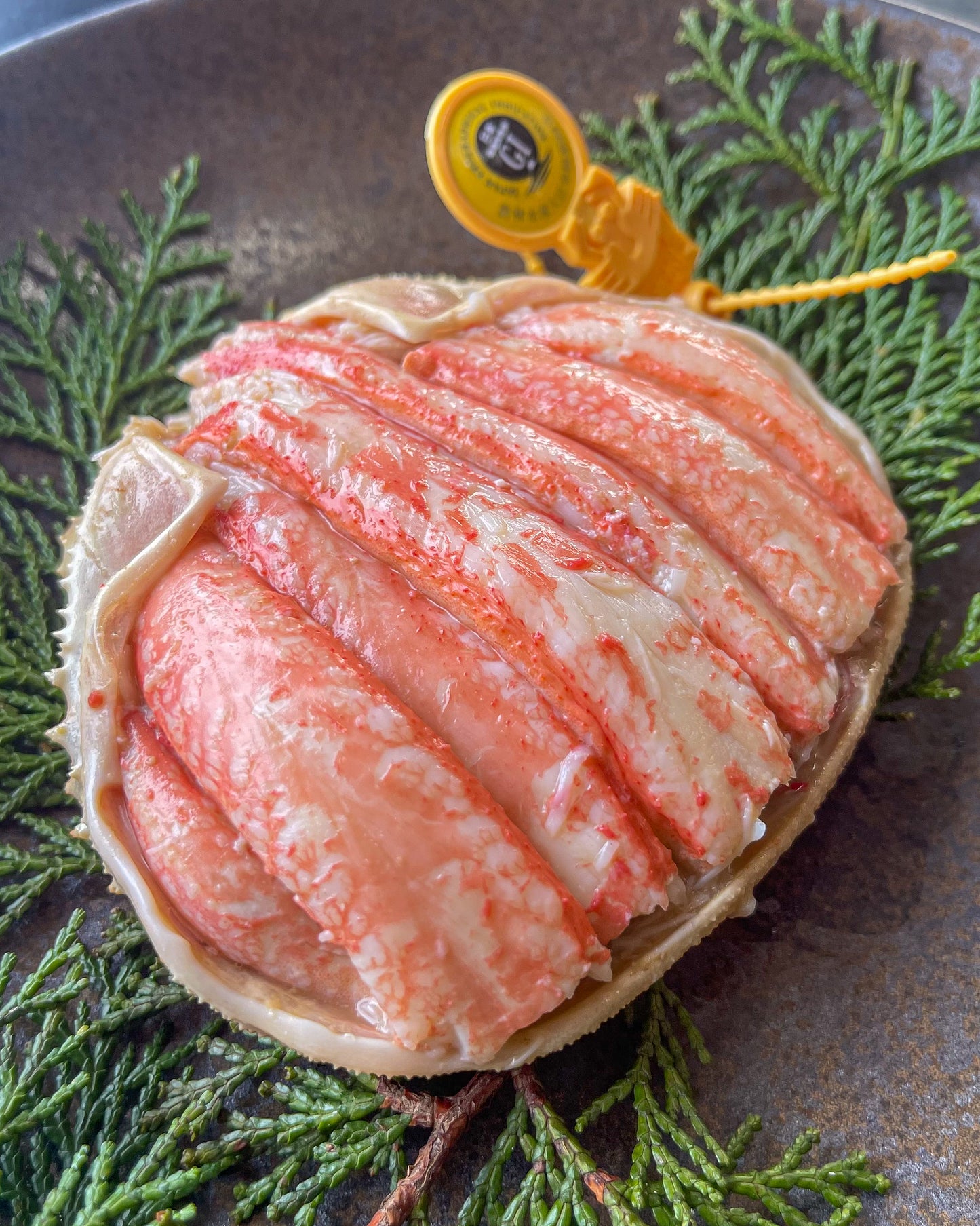 福井県越前町で水揚げされた越前がに(ズワイガニ・オス)甲羅盛り プロトン凍結商品