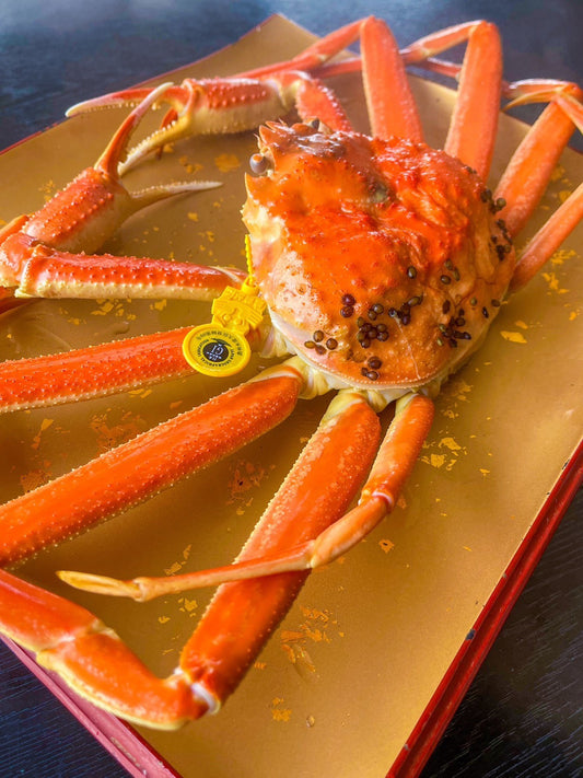 越前がに(オス)