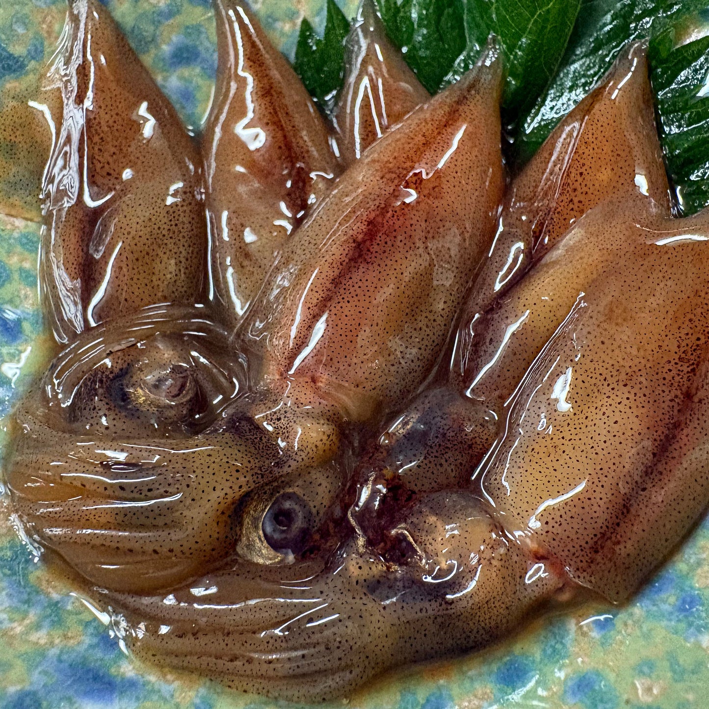 自家製・ほたるいか沖漬け／食べ切りやすい10匹×７パック（冷凍）