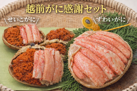 【越前がに感謝祭】越前がにを堪能できる感謝セット
